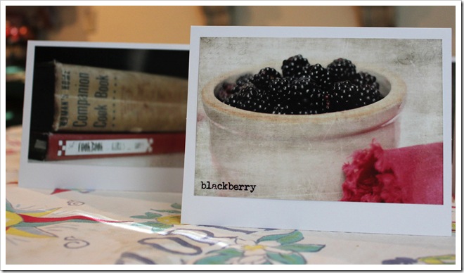 berries book