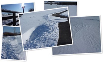 Winterlauf 2010 anzeigen