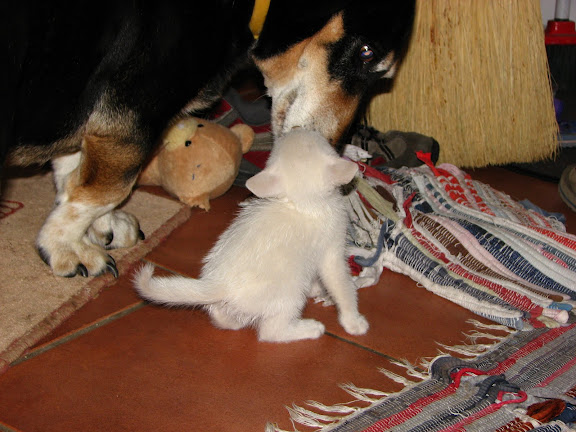 IMG_2798.JPG