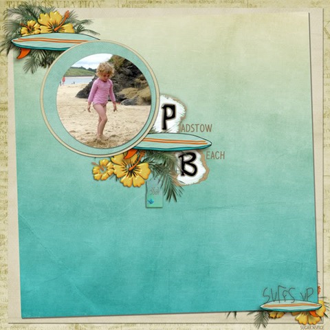 [201006_SUNCollab_SnS-PadstowBeach[3].jpg]