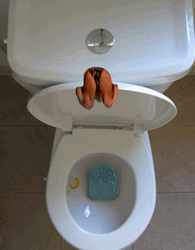 pics_animated-diving-into-toilet