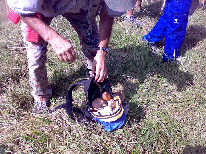 22082010486.jpg