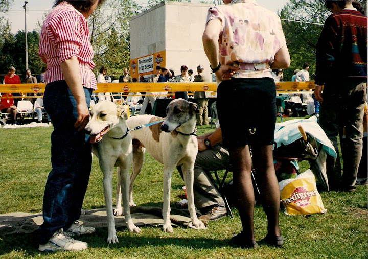 scan0001.jpg