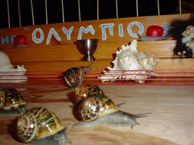 [snail_race[3].jpg]