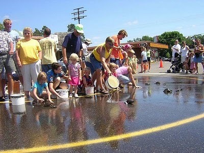 [Turtle-racing[3].jpg]