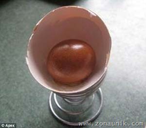 [telur-004[3].jpg]