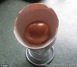 telur-004