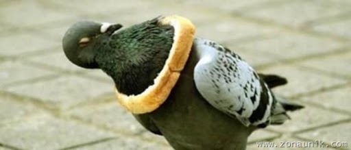 [over akting (10)[2].jpg]