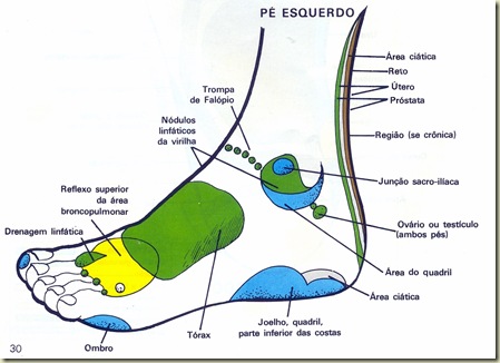 Reflexologia Mapa do Pé Esquerdo Lateral