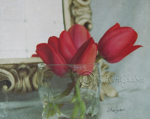 [tulipsmirror[5].jpg]