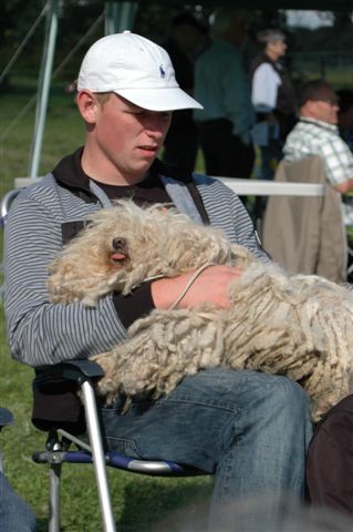 DSC_2265.JPG