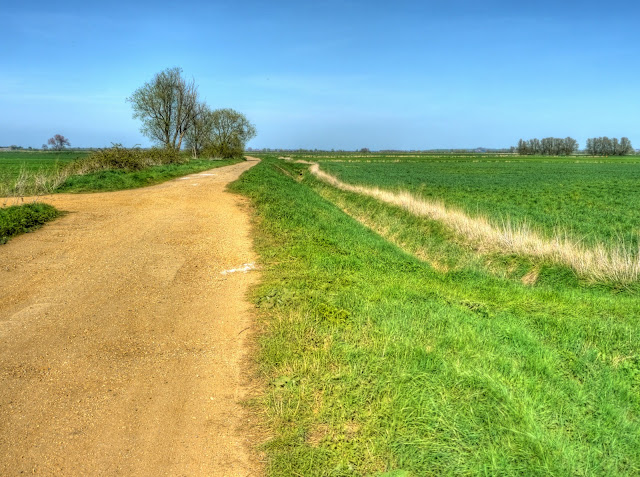 P1080395_89_90_91_92_93_94_tonemapped.jpg