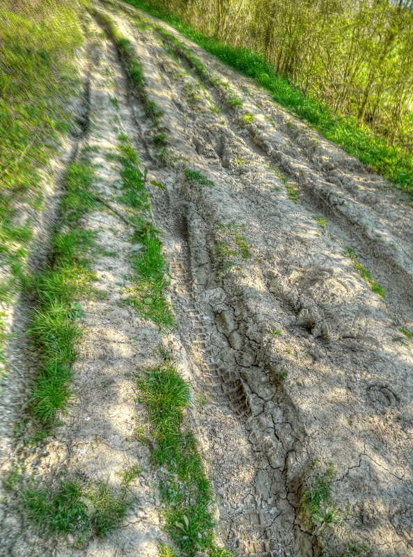 P1080937_1_2_3_4_5_6_tonemapped.jpg