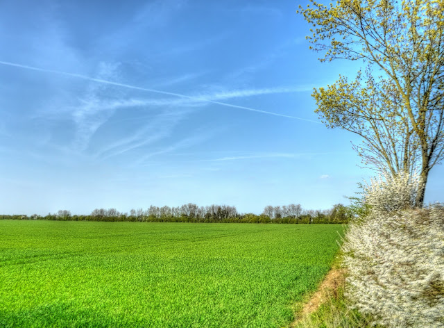 P1080972_66_67_68_69_70_71_tonemapped.jpg