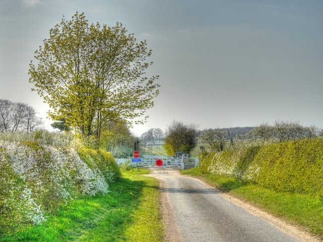 P1080993_87_88_89_90_91_92_tonemapped.jpg