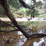 taking a dip by Rachel Urlich -  