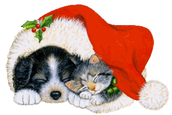 gifnatal17.gif