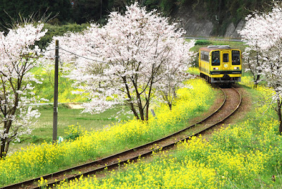 いすみ鉄道東総元駅周辺で春の景色を撮影する 春の青春18きっぷの旅 いすみ鉄道530編 その4 とくとみぶろぐ