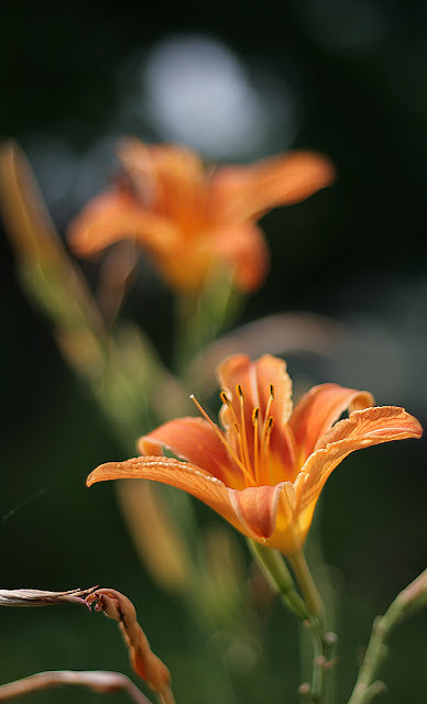 1024_IMG_6235.jpg