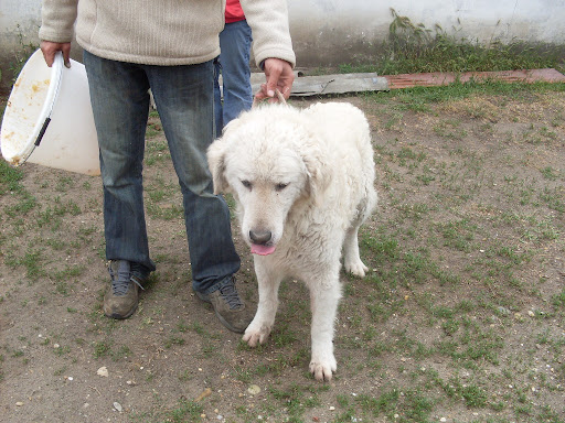 SDC10083.JPG