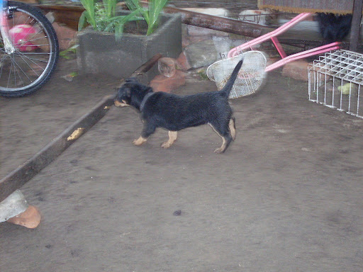 SDC10964.JPG