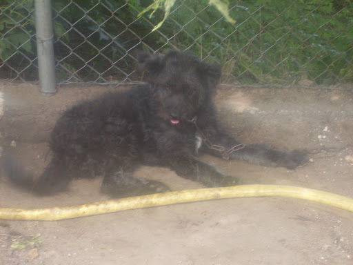 SDC11114.JPG