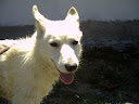 PICT0056.JPG