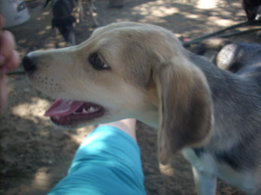 DSCN0035.JPG