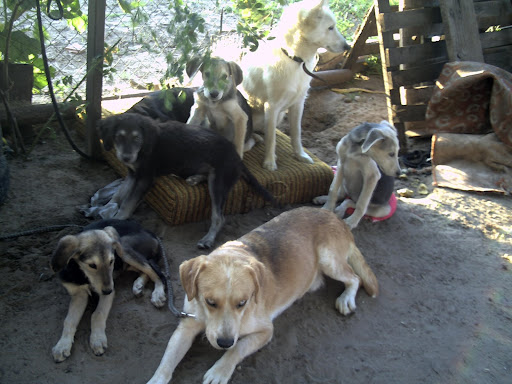 PICT0110.JPG