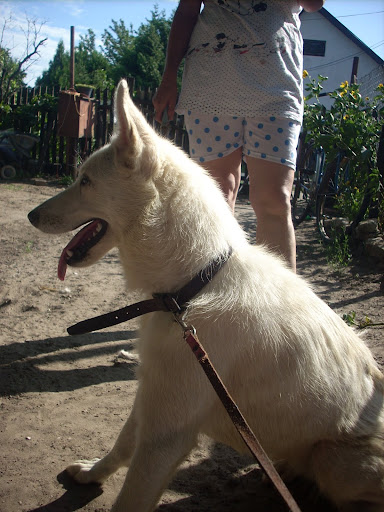 DSCN0084.JPG