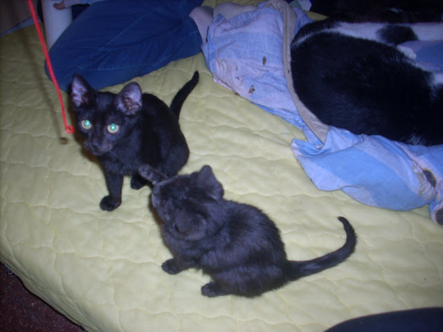 DSCN7012.JPG