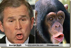 Bush and chimp
