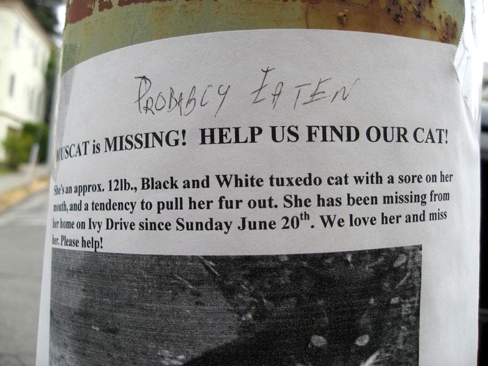 Lost (And Found) Pet Signs Seen On lolpicturegallery.blogspot.com