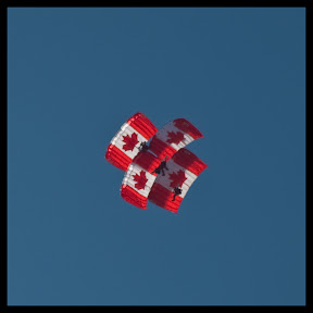 _5131001.jpg