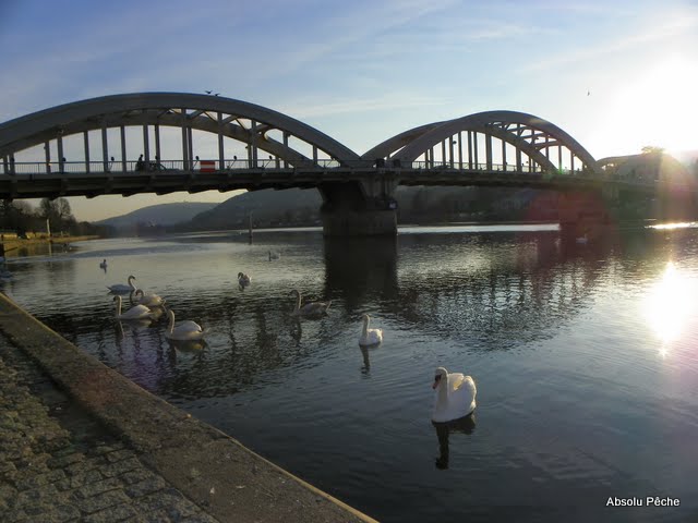 Pont de Neuville sur Saône photo #268