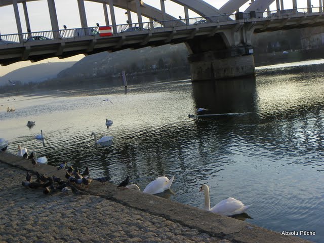 Pont de Neuville sur Saône photo #277