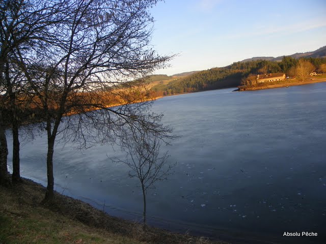 Lac des sapins à Cublize photo #224