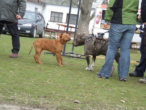 DSCF4719.JPG