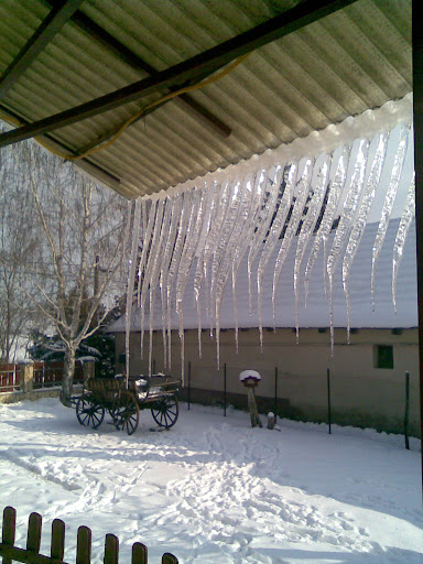 2010%20febru%C3%A1r%20068.jpg