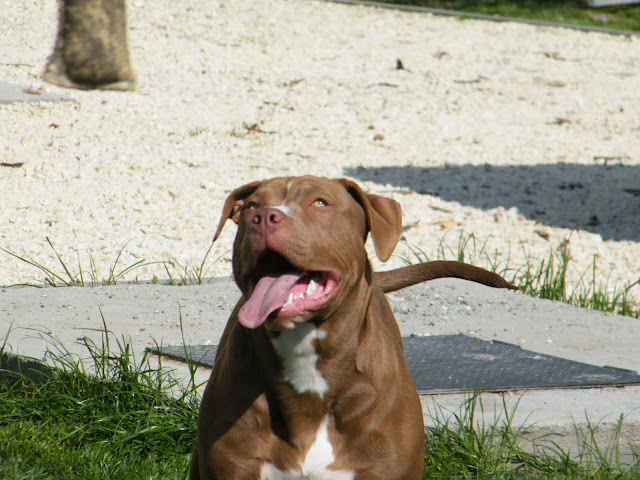 2010%20m%C3%A1rcius%20%C3%A1prilis%20863.jpg