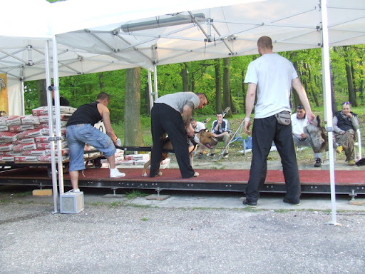 DSCF5265.JPG