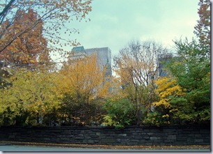 Central Park Fall 1
