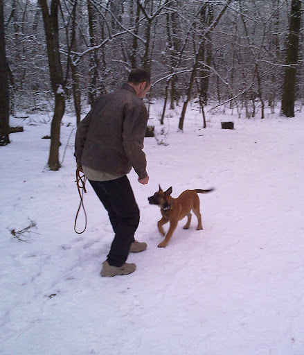 20100120061.jpg