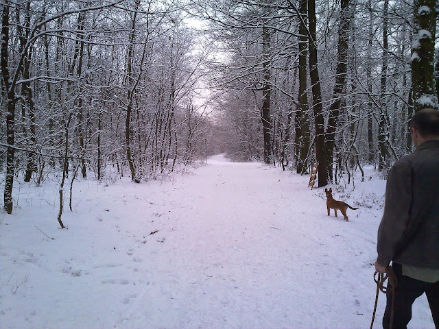 20100120067.jpg