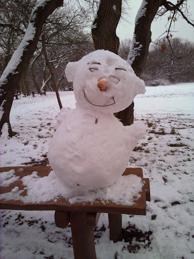 20100120074.jpg