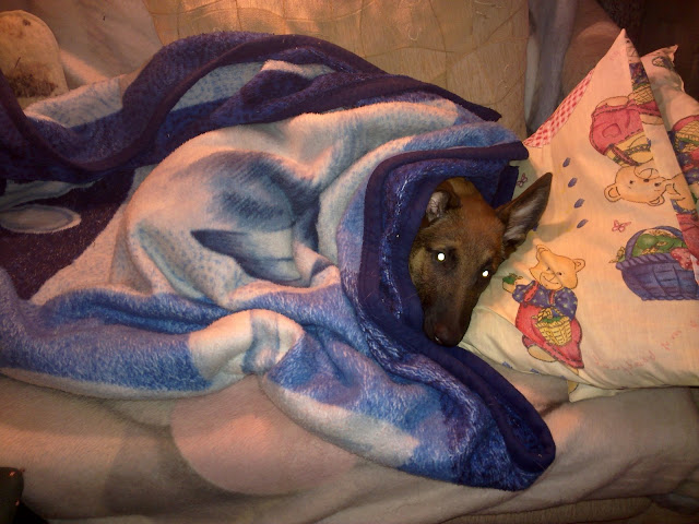 20100124083.jpg