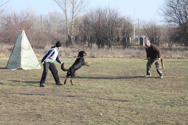 DPP_0011.JPG