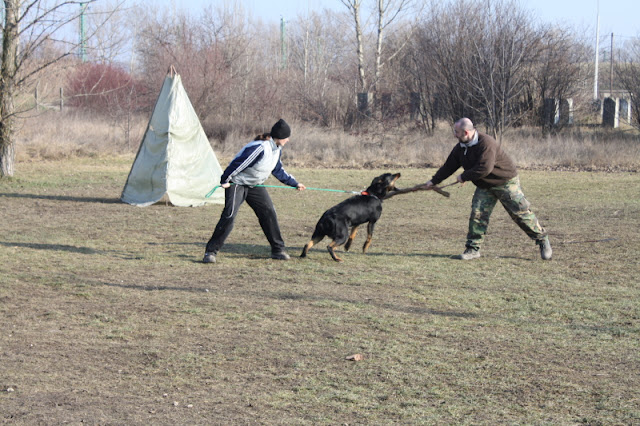DPP_0013.JPG
