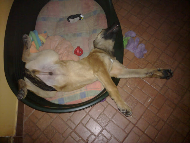 20100214165.jpg