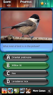 Bird Species Quiz HD Screenshots 3